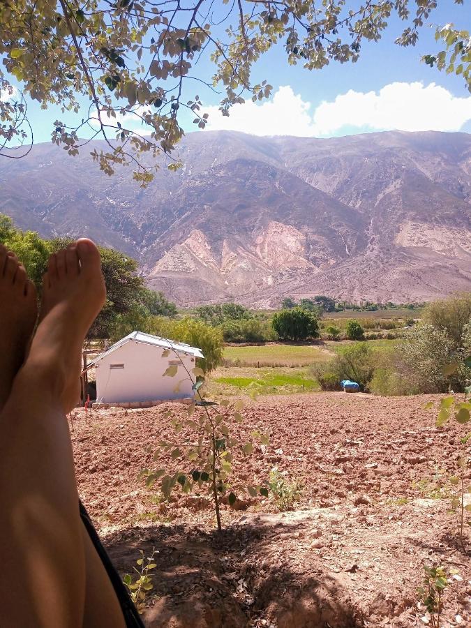 Dormir Con Llamas Maimara Bagian luar foto