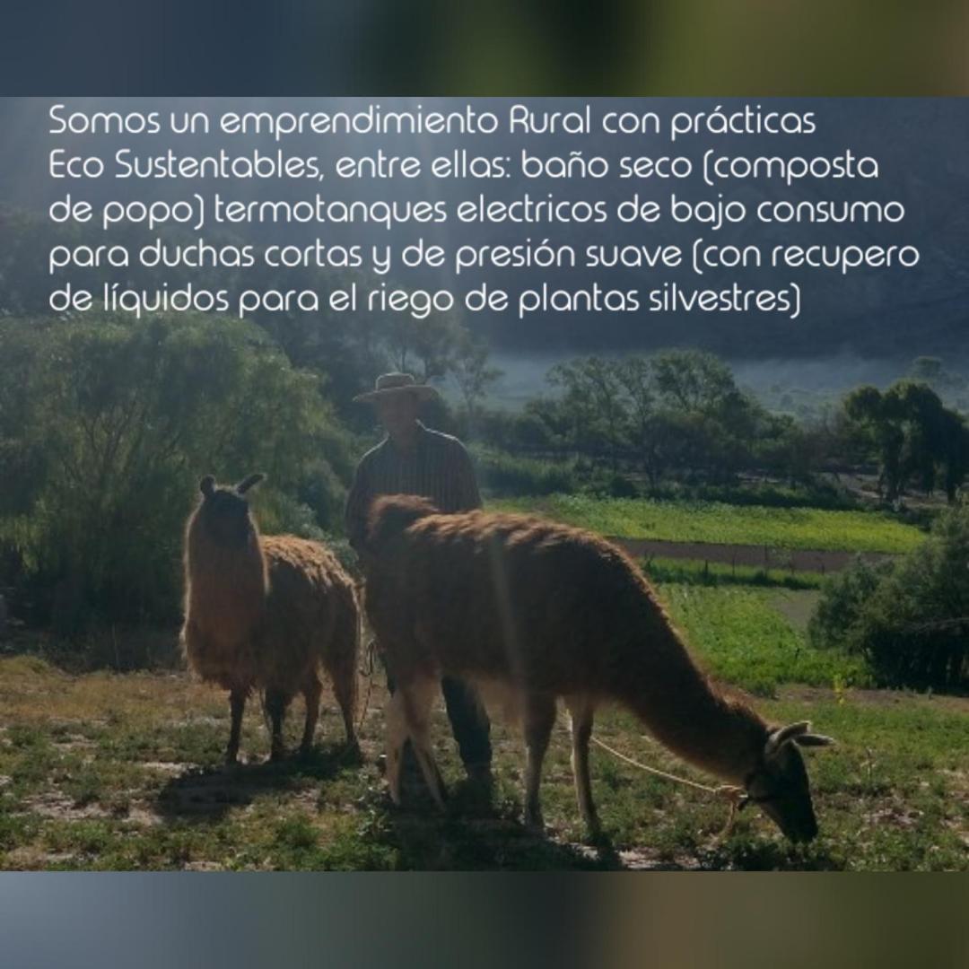 Dormir Con Llamas Maimara Bagian luar foto